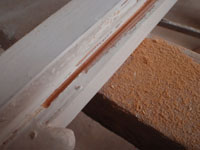 renovace oken - vila Praha 6